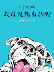 一开始，我真没想当舔狗