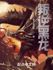 叛逆的黑龙领主