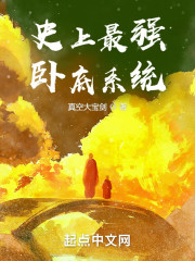 史上最强卧底系统