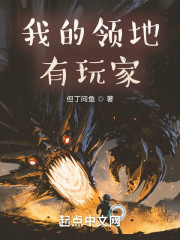 我的领地有玩家