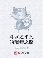 斗罗之平凡的魂师之路