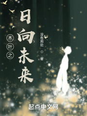 木叶之日向未来