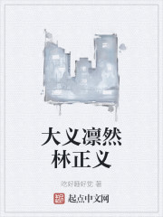 大义凛然林正义