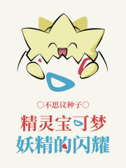 精灵宝可梦：妖精的闪耀