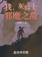 我，灰骑士，邪魔之敌