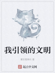 我引领的文明