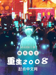 娱乐为王：重生2008