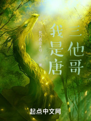 我是唐三他哥