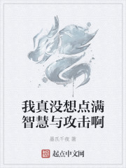 我真没想点满智慧与攻击啊