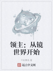 领主：从镜世界开始