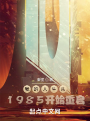 我的人生从1985开始重启