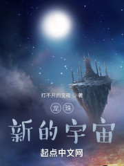 龙珠：新的宇宙