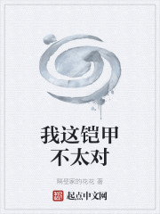 我这铠甲不太对