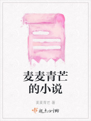 麦麦青芒的小说