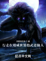 行走在诸天的武道仙人