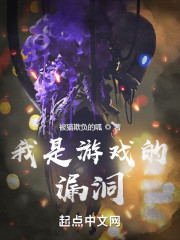 我是游戏的漏洞