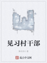 见习村干部
