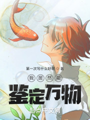 我居然能鉴定万物