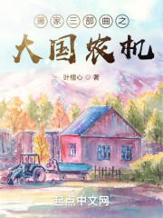 箫家三部曲之大国农机