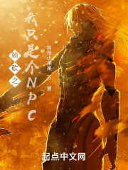骑砍之我只是个NPC