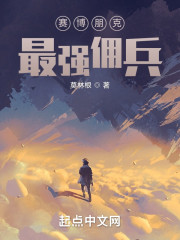 赛博朋克：最强佣兵