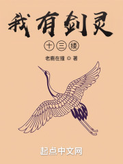 我有剑灵十三缕