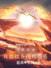 极拳武道：我能提升修炼资质