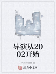 导演从2002开始