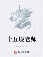 十五境老师