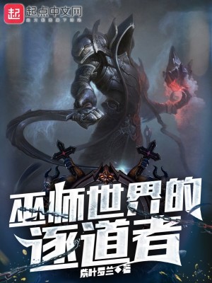 巫师世界的逐道者