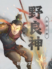野良神：杀穿三界