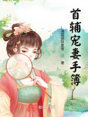 首辅宠妻手簿