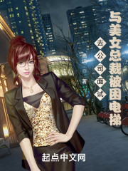 去公司面试，与美女总裁被困电梯