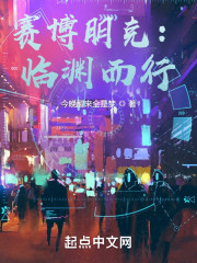 赛博朋克：临渊而行