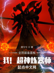 全民装备面板：我！超神炼器师