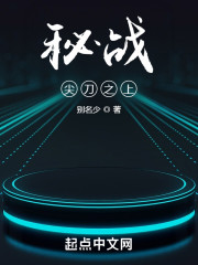 秘战：尖刀之上