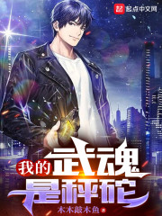 我的武魂是秤砣