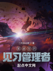某虚空的见习管理者