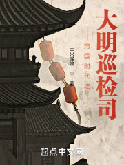 帝国时代之大明巡检司