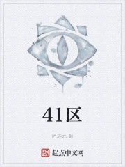 41区