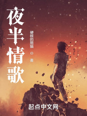 夜半情歌