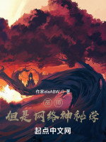 巫师，但是我不会魔法在线阅读