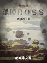我必须杀掉BOSS