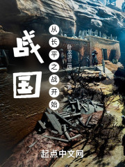 战国：从长平之战开始