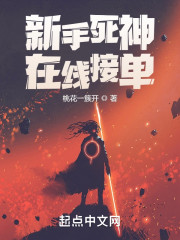 新手神，在线接单