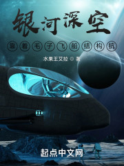 银河深空：我的战舰船身比护盾硬