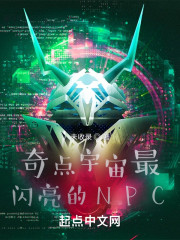 奇点宇宙最闪亮的NPC