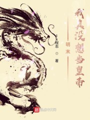 明末我真没想当皇帝