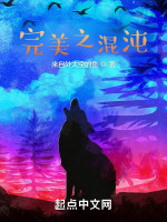 完美之混沌在线阅读