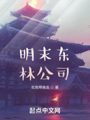 明末东林公司